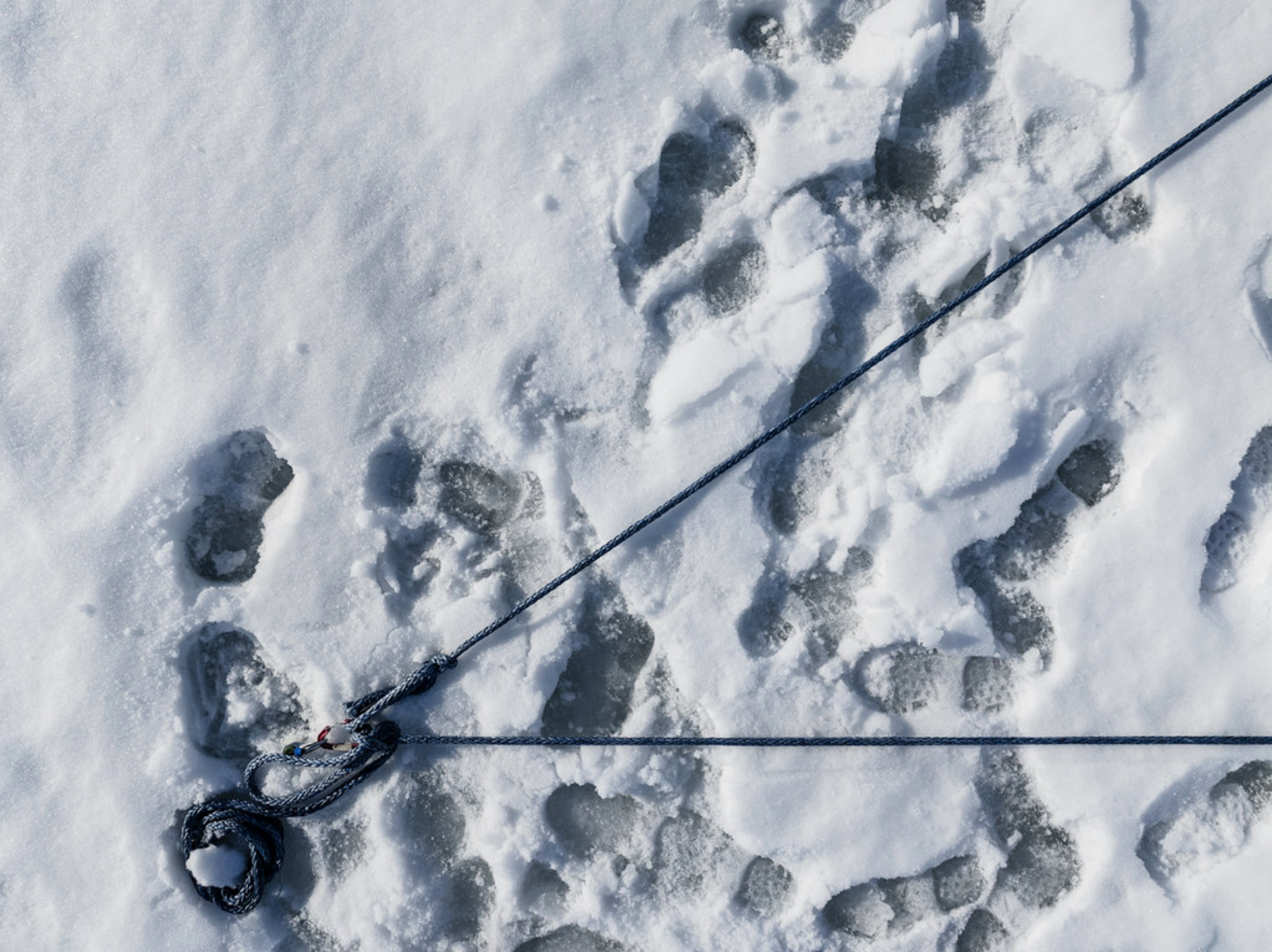 Polar Direction